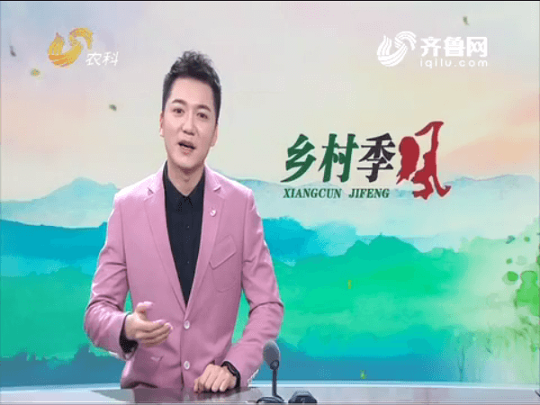 長(zhǎng)毛兔兔毛迎來新生機(jī)