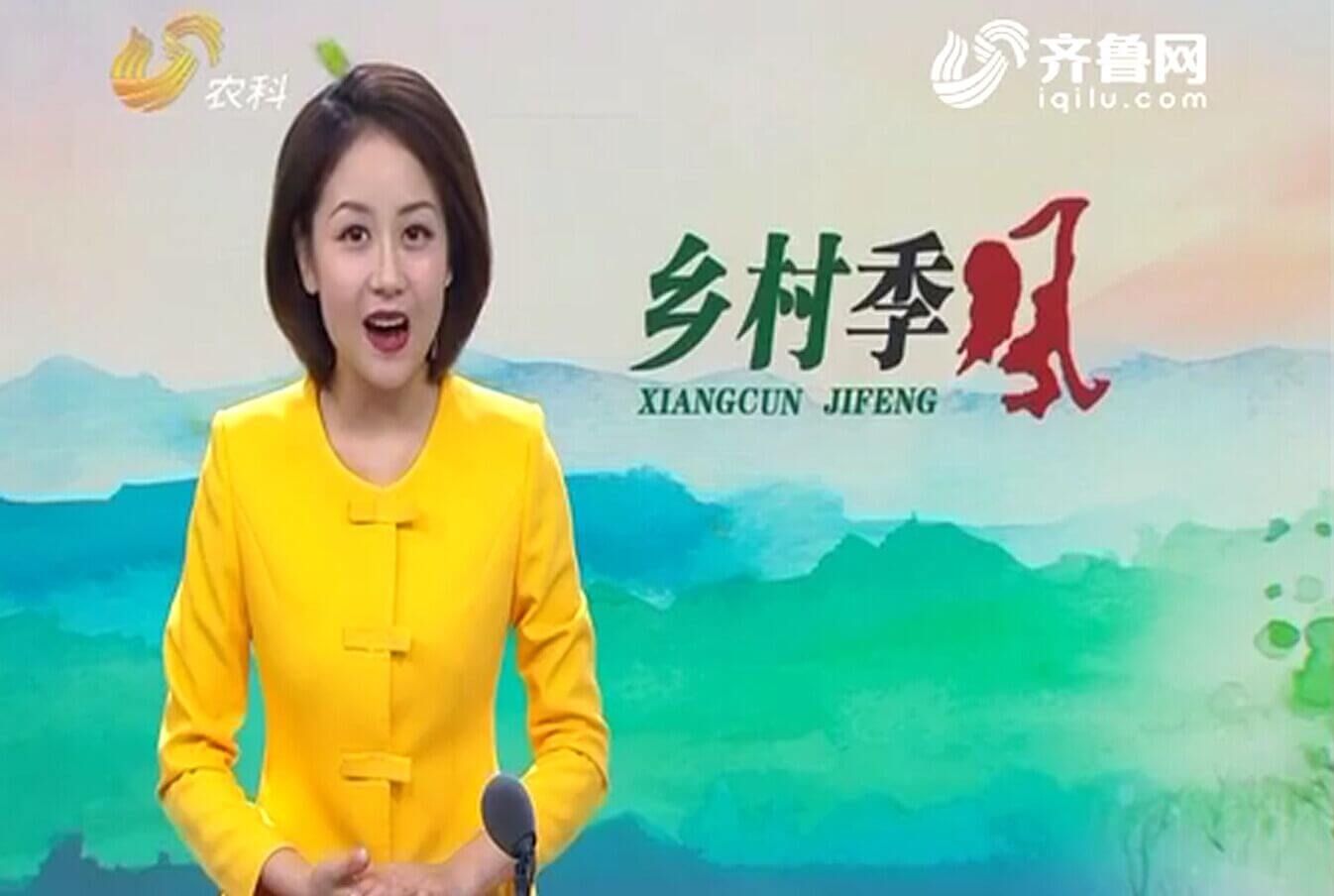 執(zhí)著長(zhǎng)毛兔