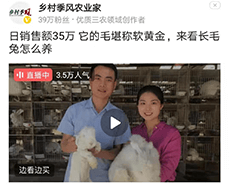 蒙陰長毛兔采毛方法與注意事項，你了解嗎