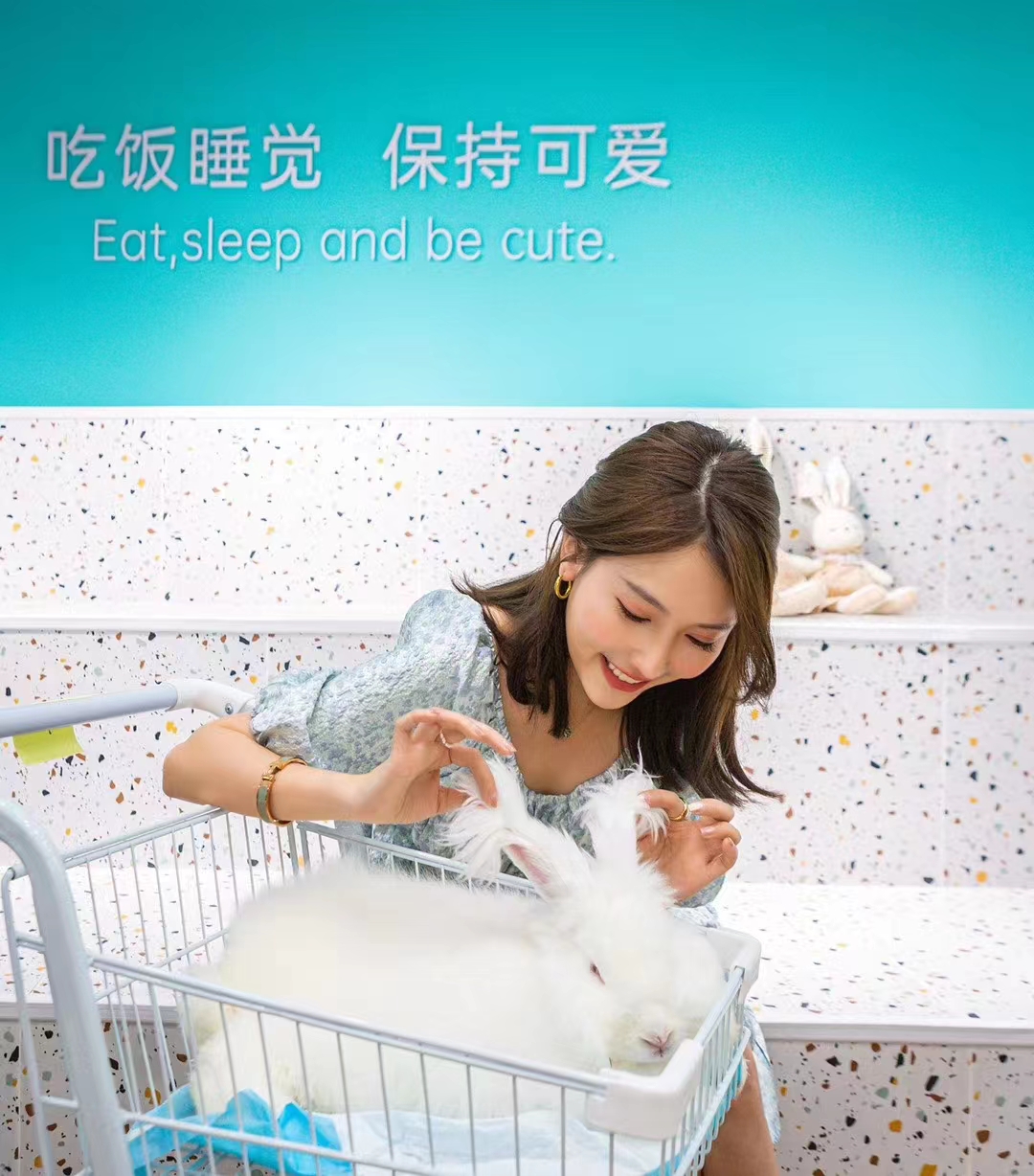 a0c3de3c-254d-4e43-b8cc-cd81f0494113 a0c3de3c-254d-4e43-b8cc-cd81f0494113