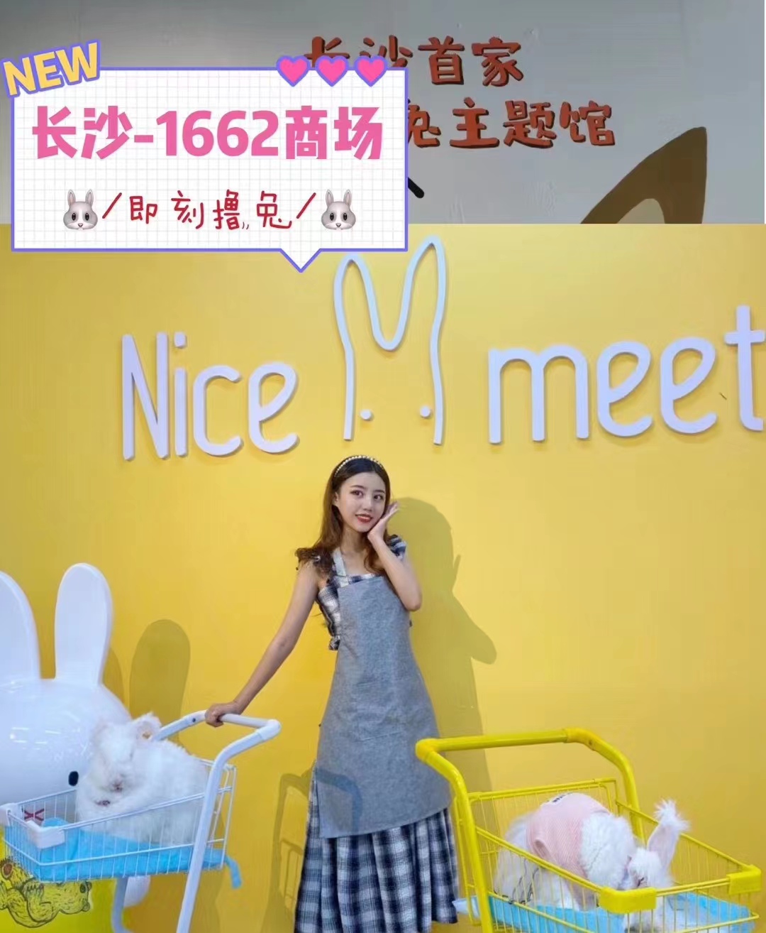 如何避免長毛兔品種退化？