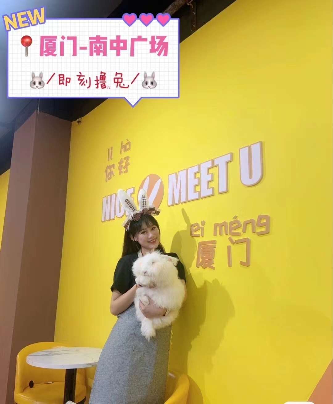 長毛兔高附加值在哪？從品種特性到萬元奢侈品的價值鏈條揭秘